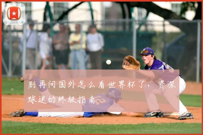 别再问国外怎么看世界杯了,资深球迷的终极指南
