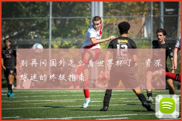 别再问国外怎么看世界杯了,资深球迷的终极指南