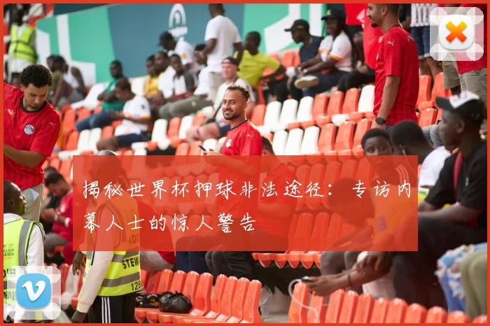 揭秘世界杯押球非法途径：专访内幕人士的惊人警告