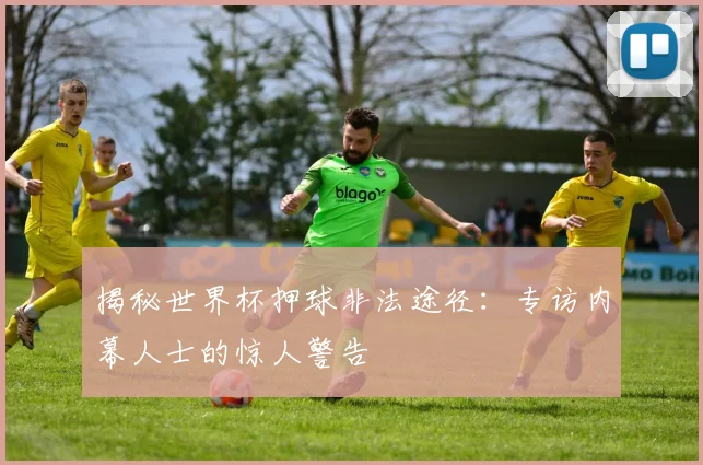 揭秘世界杯押球非法途径：专访内幕人士的惊人警告