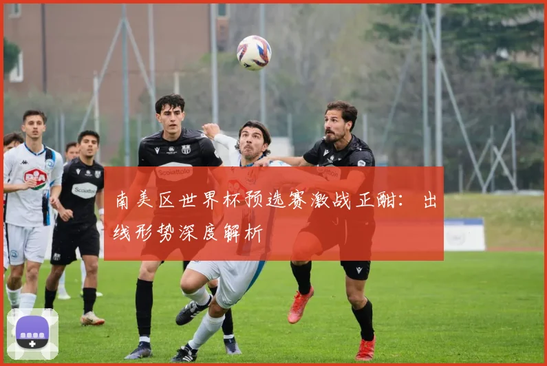 南美区世界杯预选赛激战正酣：出线形势深度解析